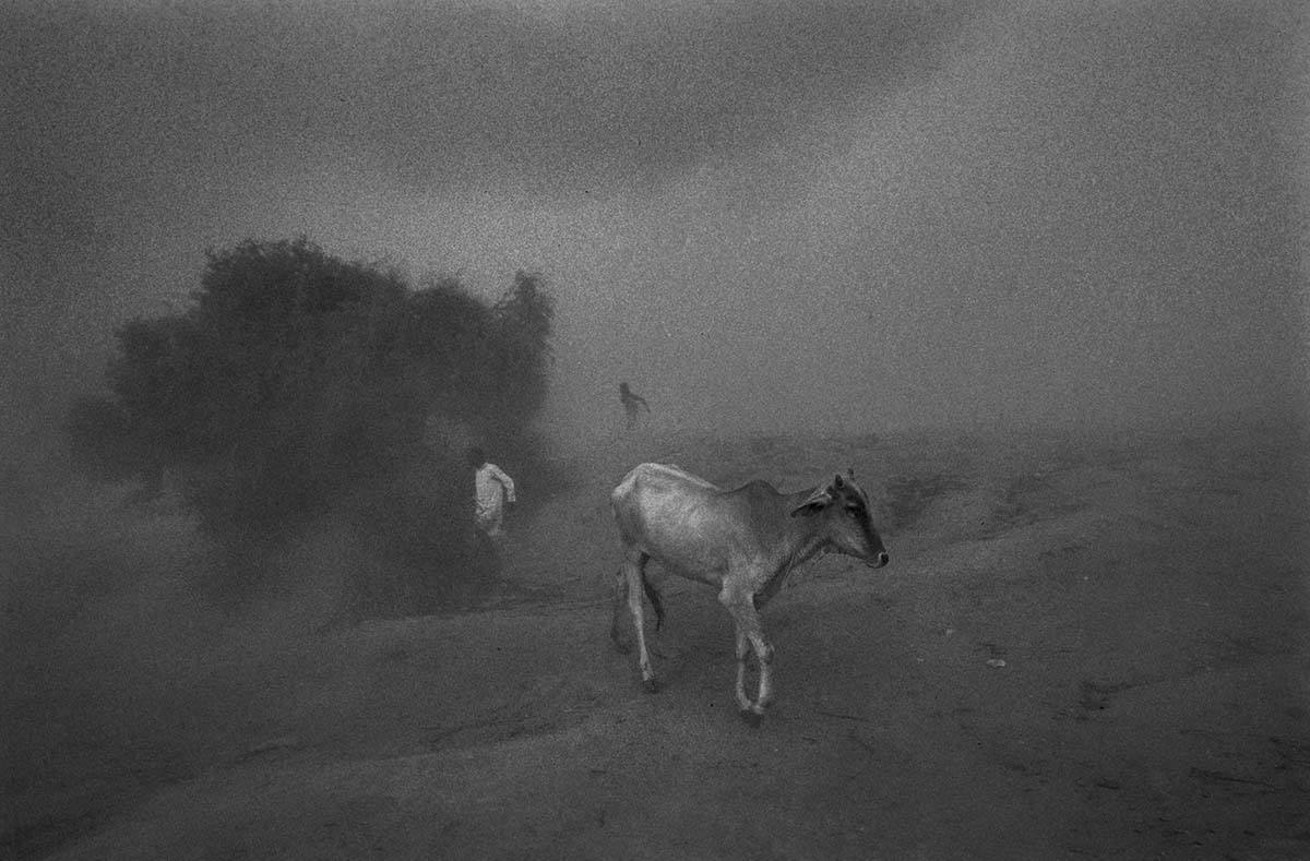 “Echoes of Silence” An Exhibition of PhotographsBy Eminent Photographer Dev Inder in Jehangir Art Gallery